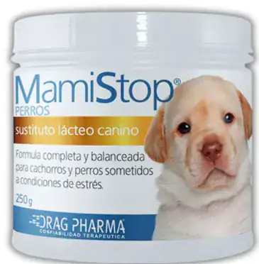 LECHE MAMISTOP perro