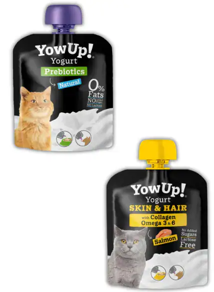 YOW UP gato