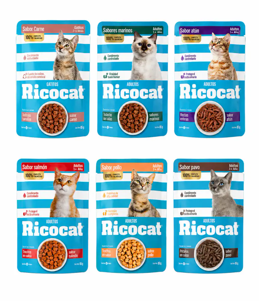 RICOCAT POUCH 85G