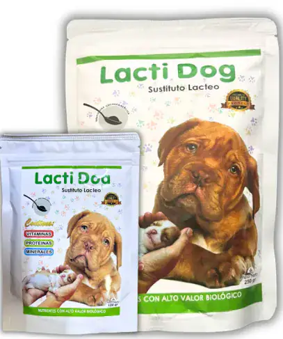 Lacti Dog