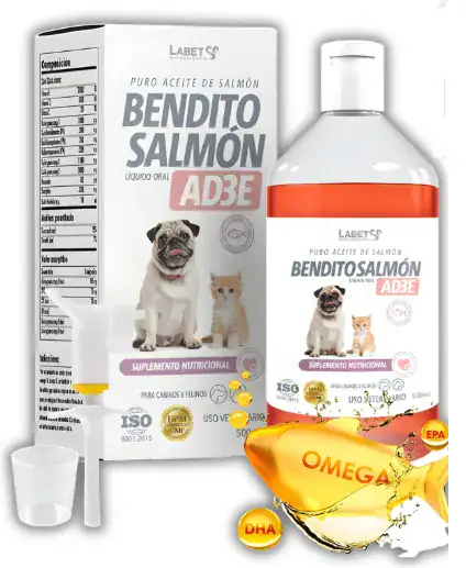 BENDITO SALMON