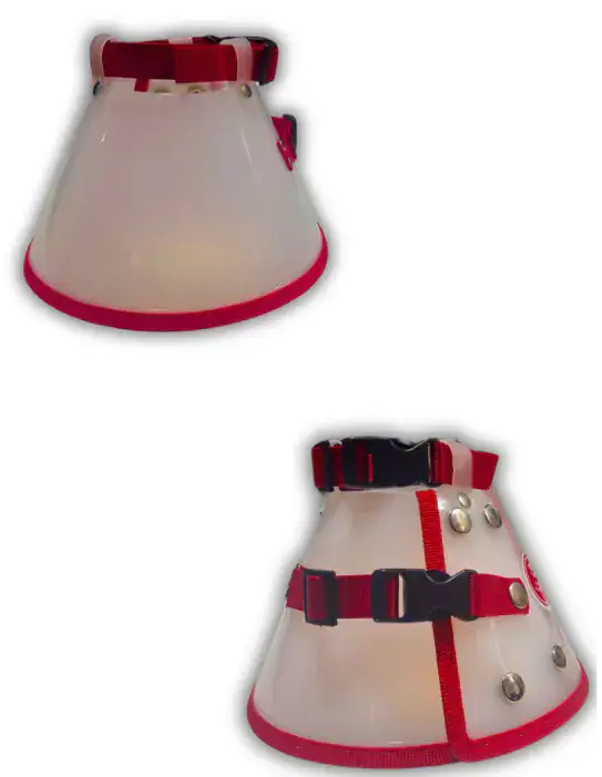 Collar Isabelino blanco
