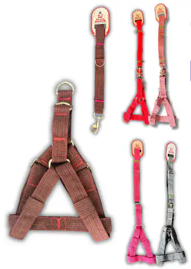 ARNES TIP TOP DOBLE COSTURA