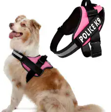 CHALECO SERVICE DOG ECONOMICO