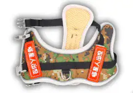 PECHERA HANZI