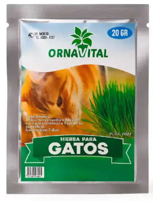 SEMILLA HIERBA PARA GATOS