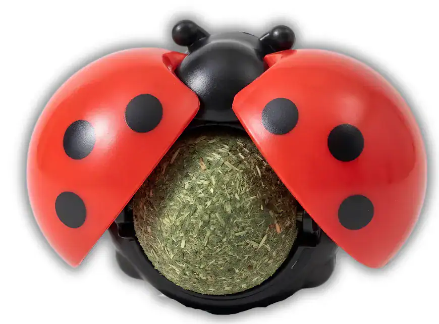 CATNIP FLOR