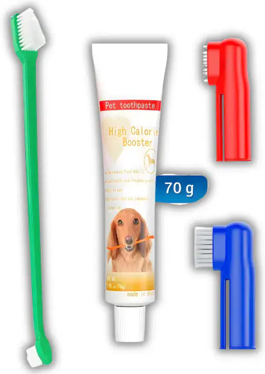 Kit de limpieza bucal