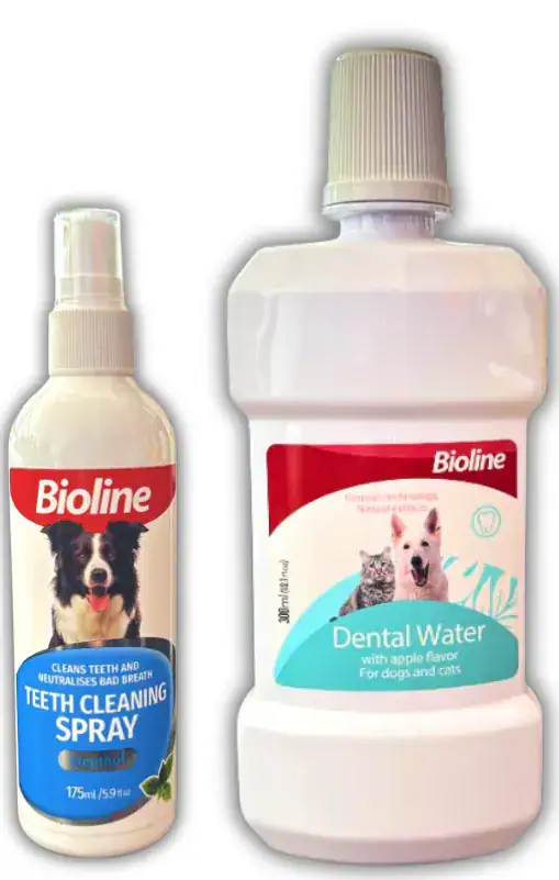 Limpieza dental Bioline