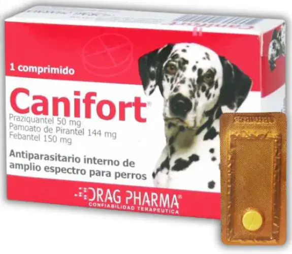 CANIFORT