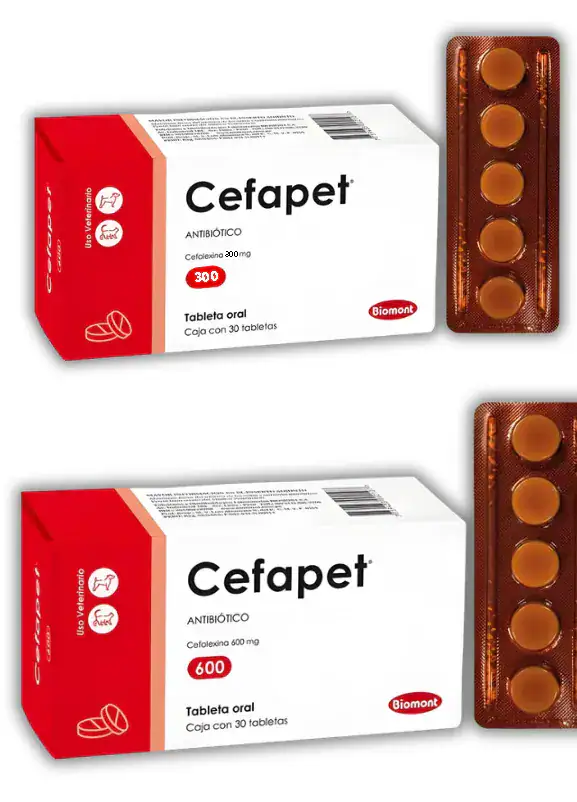 CEFAPET x30 tab