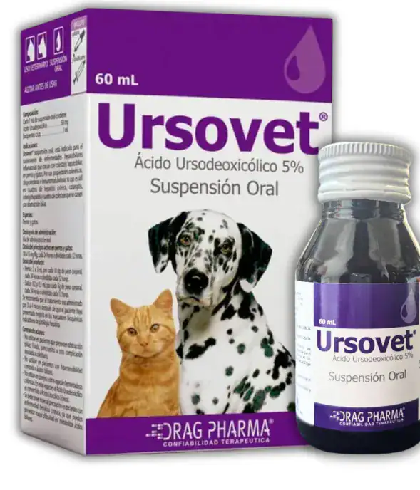 ursovet