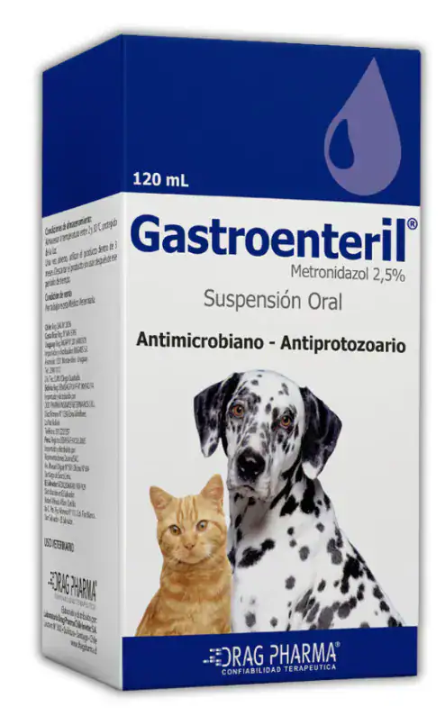 GASTROENTERIL
