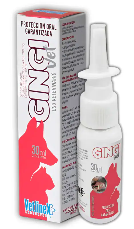 GINGIVET
