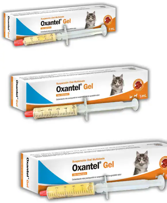 Oxantel Gel