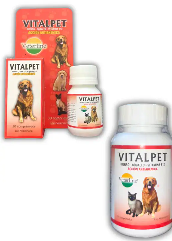 VITAL PET
