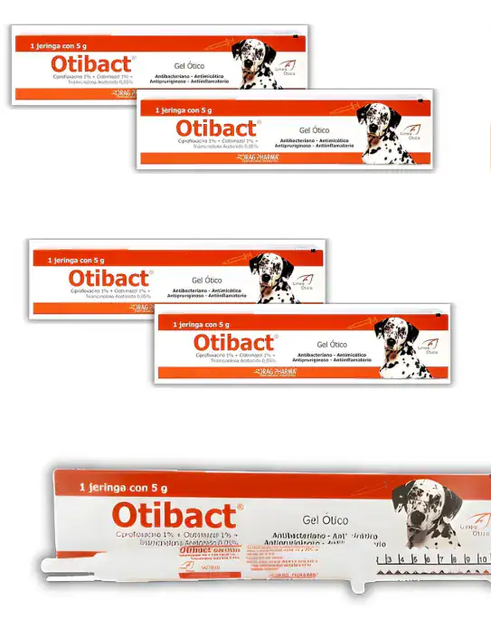 Otibact