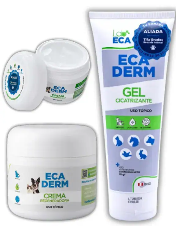ECA DERM