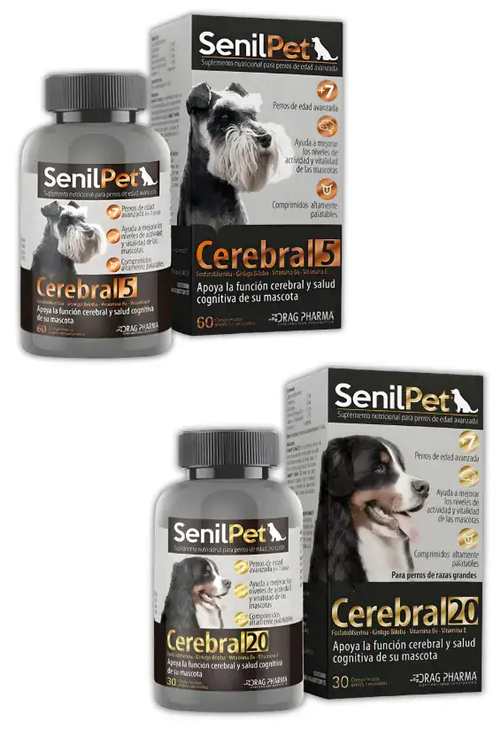 SENILPET CEREBRAL