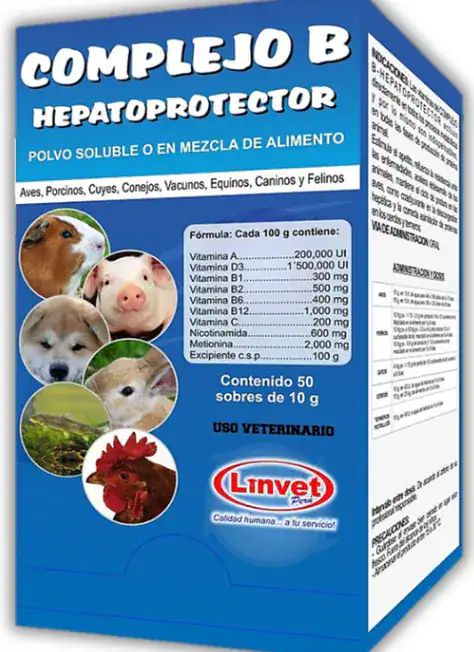 Complejo B Linvet