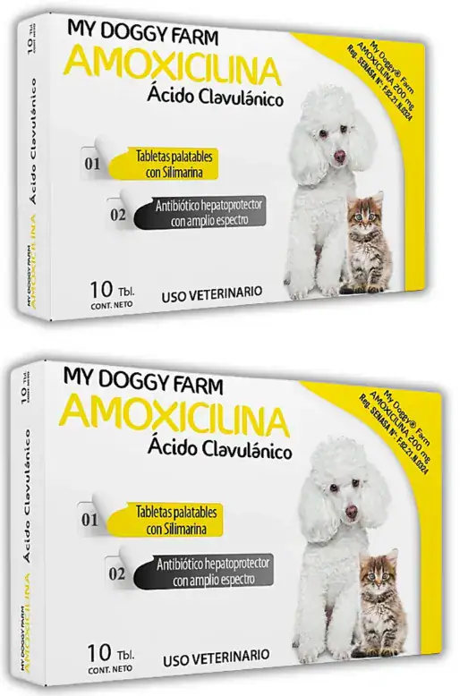 Amoxicilina My Doggy