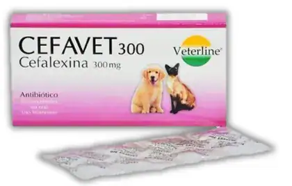 CEFAVET x32 tab