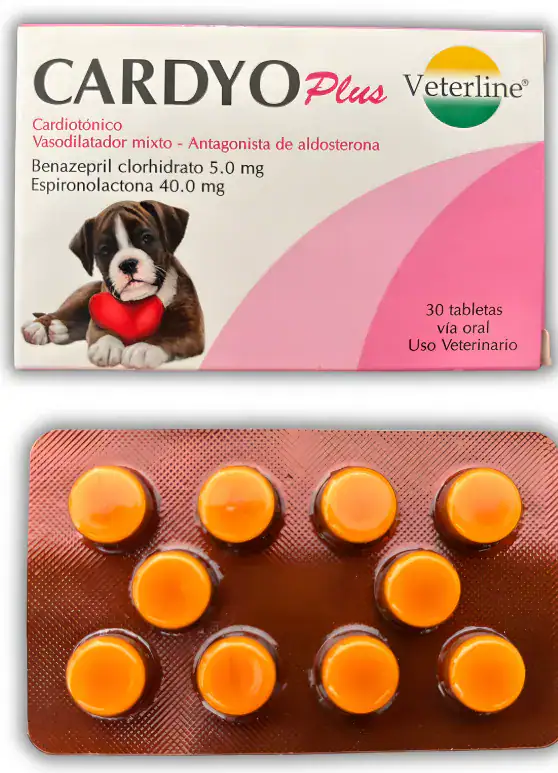 CARDYO PLUS