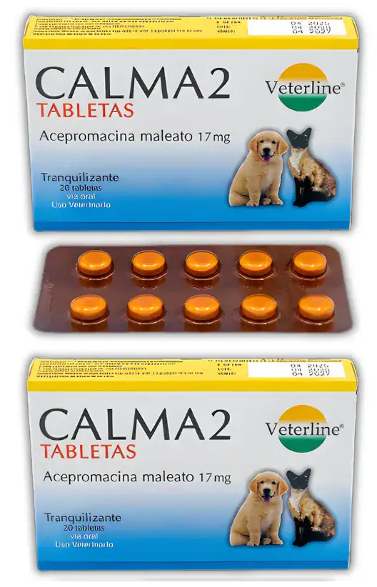 CALMA 2