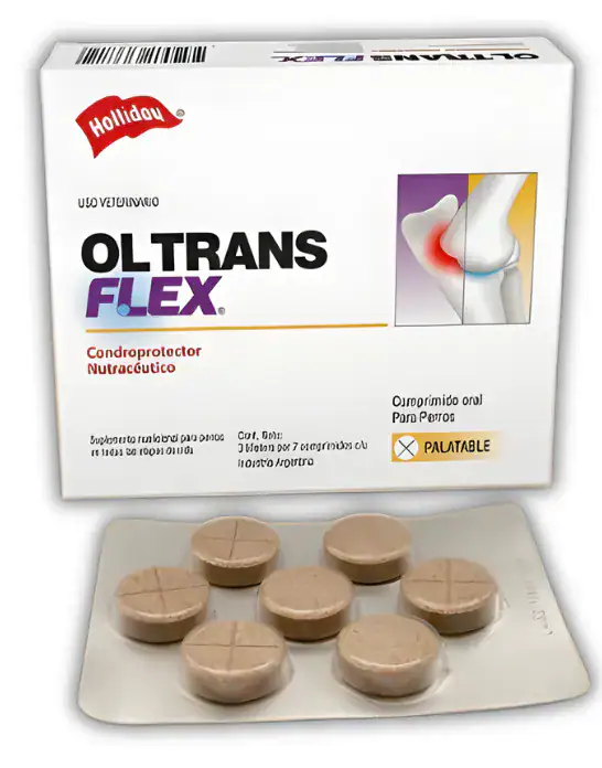 ol trans flex