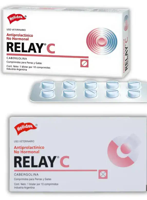 RELAY C BLISTER