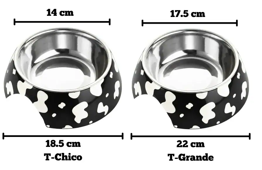 PLATO ESTAMPADO DINOSAURIO
