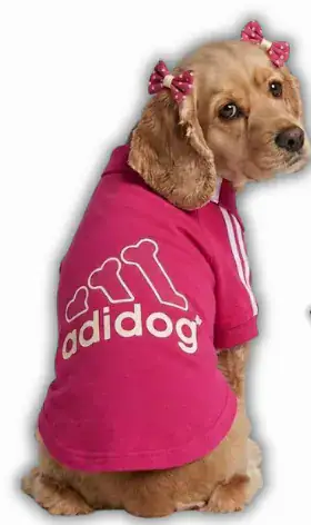POLERA ADIDOG