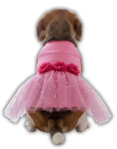 Vestido Fiesta con perlas