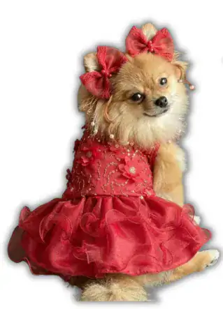 VESTIDO FIESTA FLORES