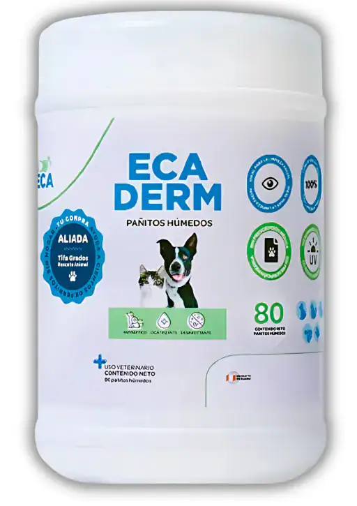 ECADERM PAÑITOS HÚMEDOS