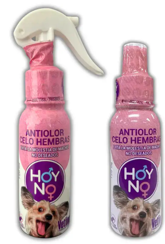 hoy no