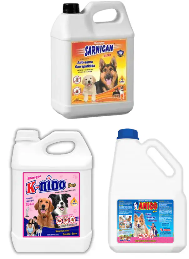 Shampoo 4 lt
