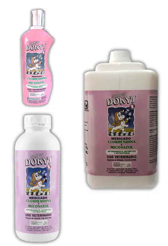 Shampoo Dokys Medicado