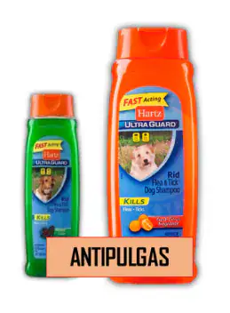 Shampoo Hartz 532 Ml