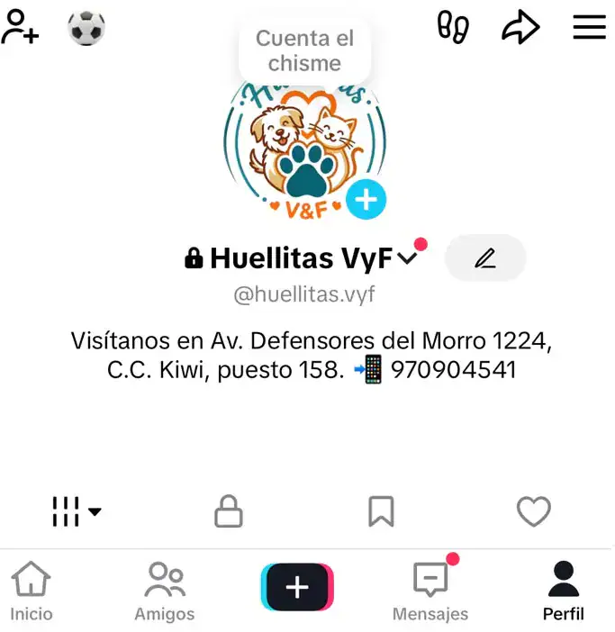 Perfil de TikTok de Huellitas V&F